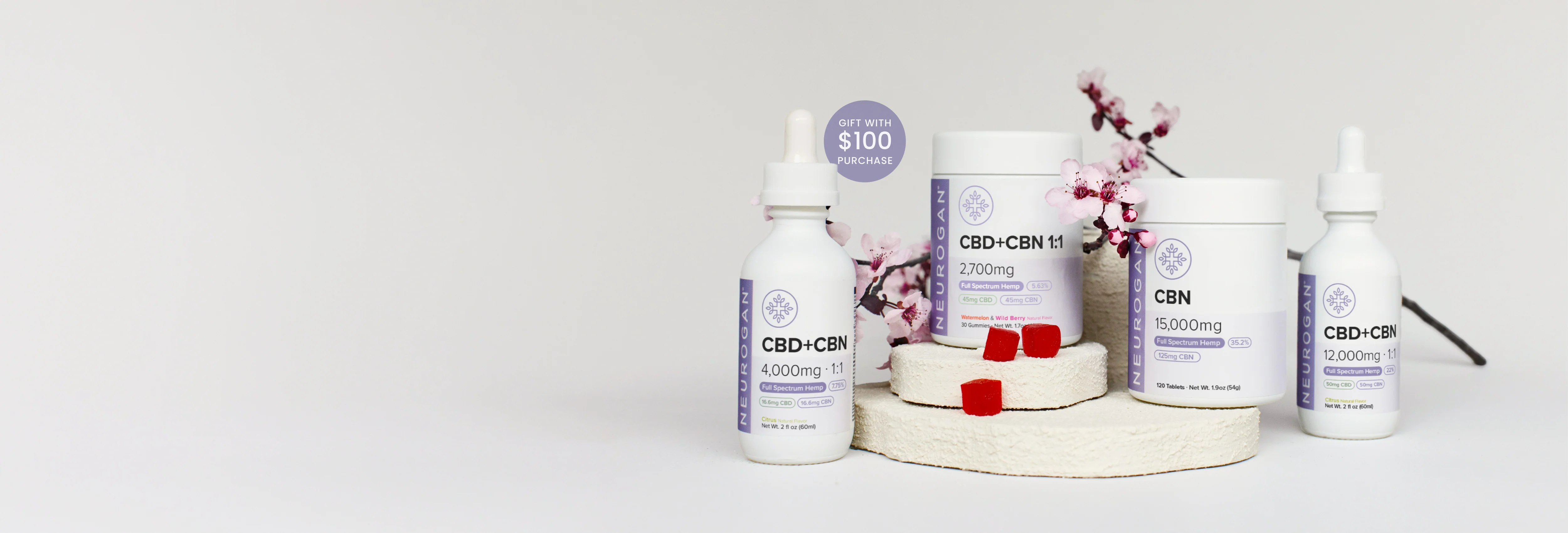 Potent Wellness for Every Body